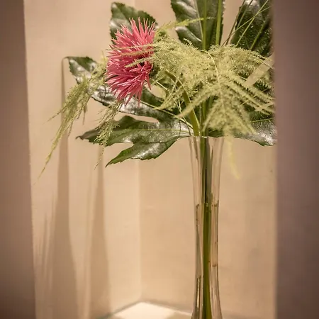 Orti Manara Design